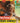 Dom Flemons Presents: Black Cowboys
