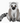 Wild Republic: Cuddlekins Mini Ring Tailed Lemur Stuffed Animal 8"