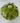 Nice Time Glass: Bloom Bud Vase